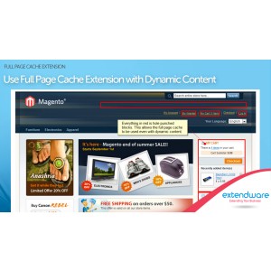Full Page Cache