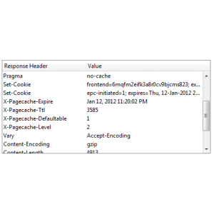 Full Page Cache
