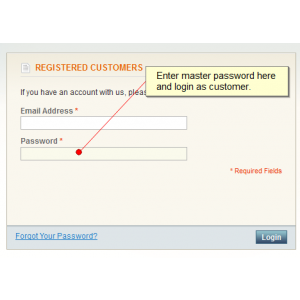 Master Password