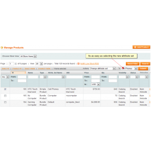Bulk Product Updating